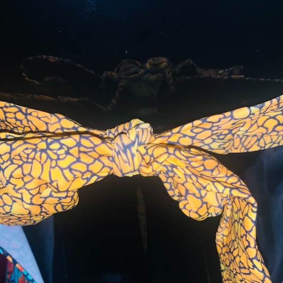 ONE PIECE SWIMSUIT W/BACK TIE UP - Picture 6 of 8